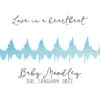 Heartbeat Artwork - Pregnancy Announcement - Image 11